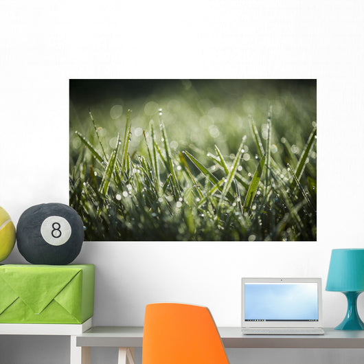 Dew Glistens Grass Wall Decal Design 1
