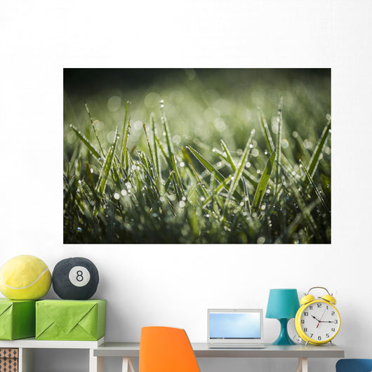 Dew Glistens Grass Wall Decal Design 1