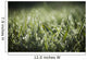 Dew Glistens Grass Wall Decal Design 1