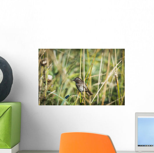 Song Sparrow Perches Plant Wall Decal