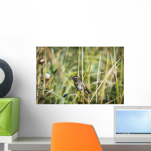Song Sparrow Perches Plant Wall Decal