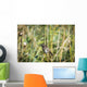 Song Sparrow Perches Plant Wall Decal
