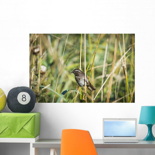 Song Sparrow Perches Plant Wall Decal