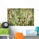 Song Sparrow Perches Plant Wall Decal