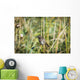 Song Sparrow Perches Plant Wall Decal