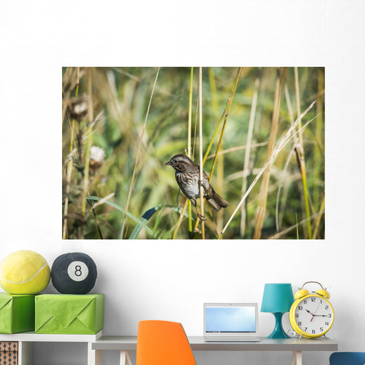 Song Sparrow Perches Plant Wall Decal