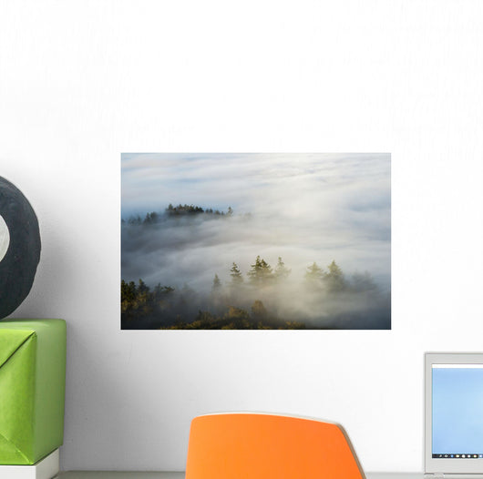 Morning Sun Lights up Wall Decal