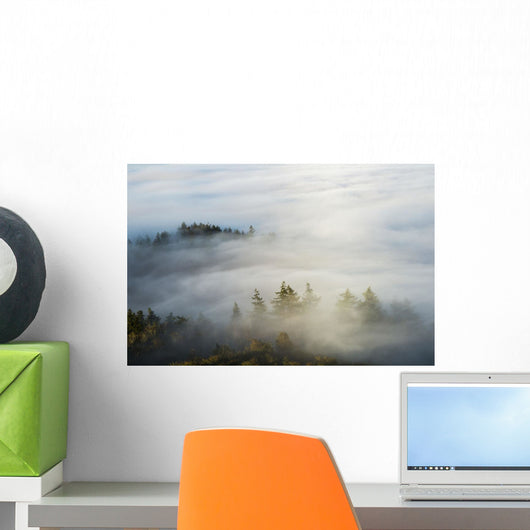 Morning Sun Lights up Wall Decal
