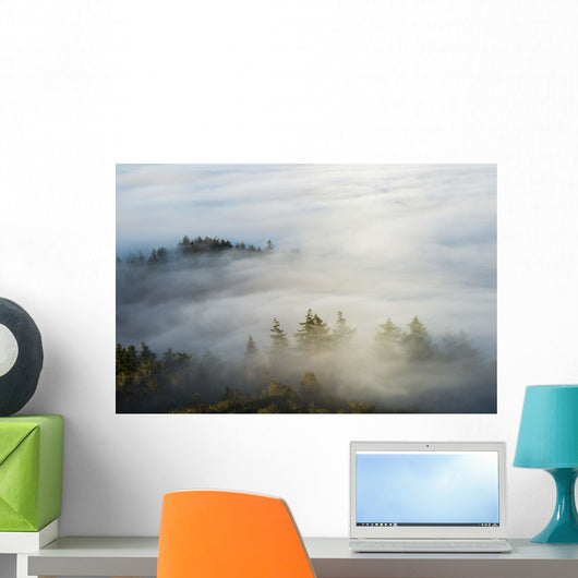 Morning Sun Lights up Wall Decal