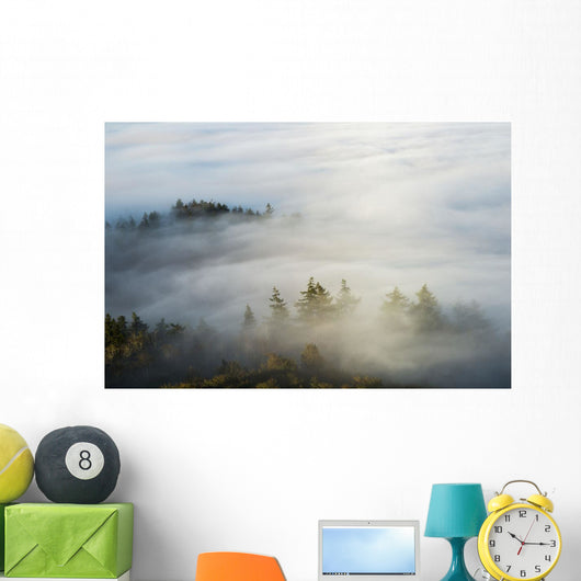 Morning Sun Lights up Wall Decal