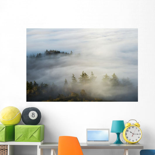 Morning Sun Lights up Wall Decal