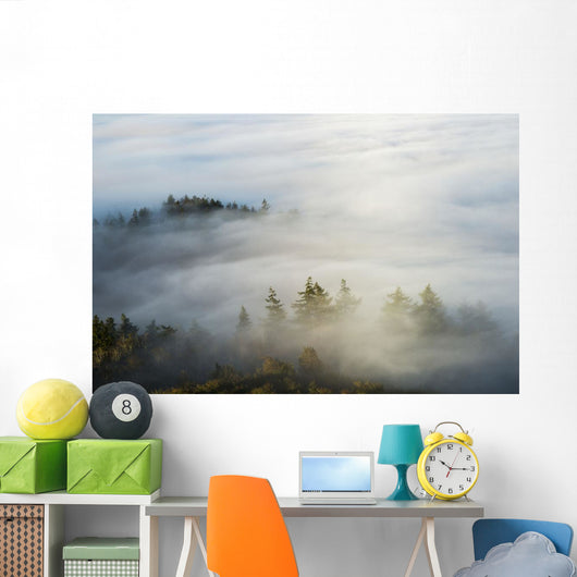 Morning Sun Lights up Wall Decal