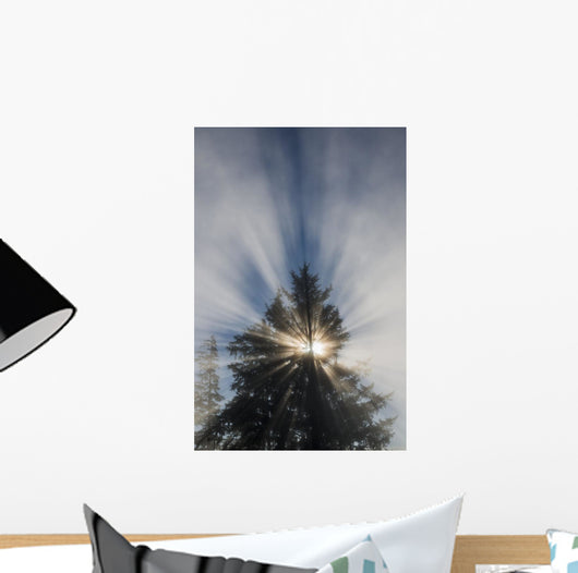 Fog and Sunlight Make Wall Decal