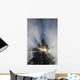 Fog and Sunlight Make Wall Decal