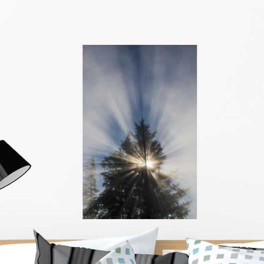 Fog and Sunlight Make Wall Decal