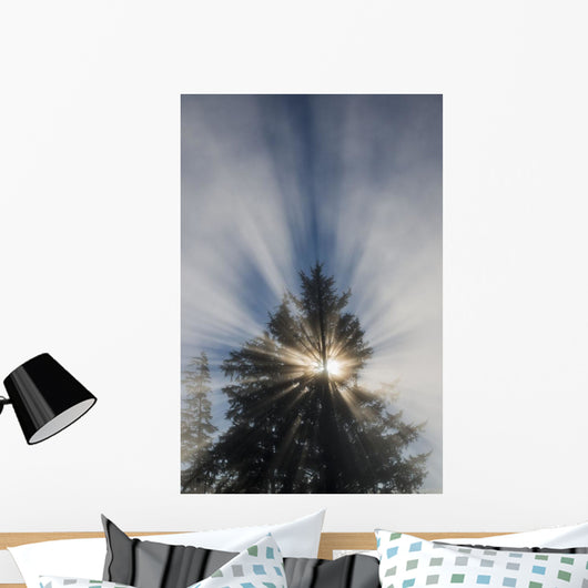 Fog and Sunlight Make Wall Decal