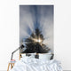 Fog and Sunlight Make Wall Decal