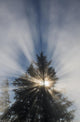 Fog and Sunlight Make Wall Decal