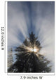 Fog and Sunlight Make Wall Decal