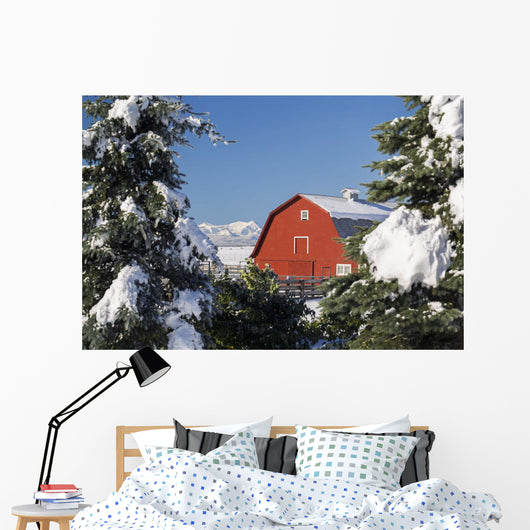Snow covered red barn, evergreens, mountains Wall Mural