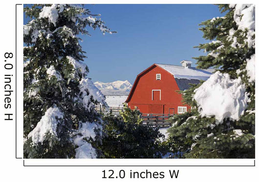Snow covered red barn, evergreens, mountains Wall Mural