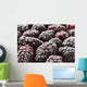 Extreme up Frosted Blackberries Wall Decal