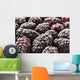 Extreme up Frosted Blackberries Wall Decal