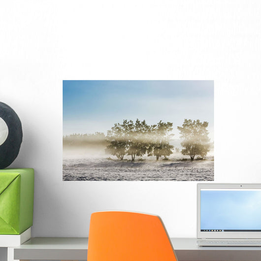 Four Trees with Leaves Wall Decal