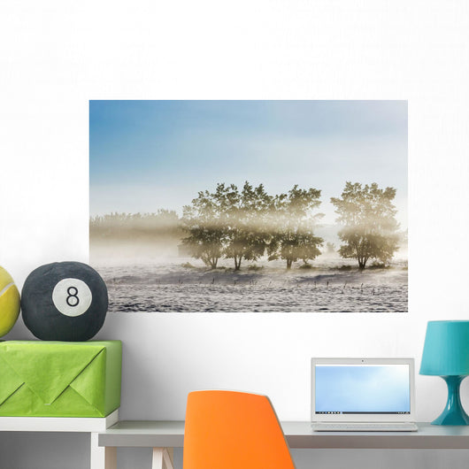 Four Trees with Leaves Wall Decal