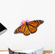 Female Monarch Butterfly Zinnia Wall Decal