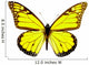 Butterfly Wall Decal