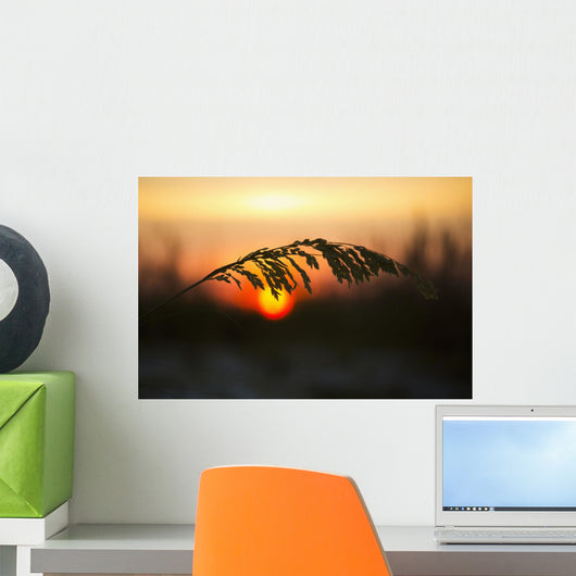 Sea Oats Sunset Siesta Wall Decal