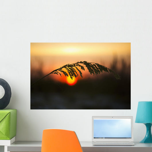 Sea Oats Sunset Siesta Wall Decal