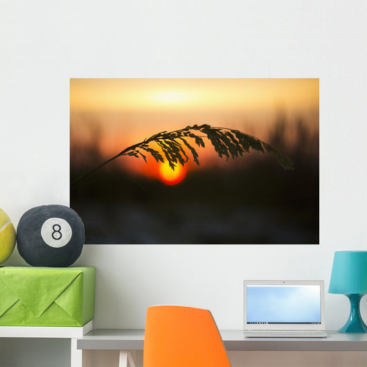 Sea Oats Sunset Siesta Wall Decal