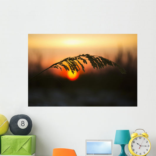 Sea Oats Sunset Siesta Wall Decal