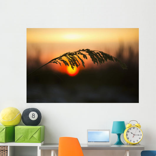 Sea Oats Sunset Siesta Wall Decal