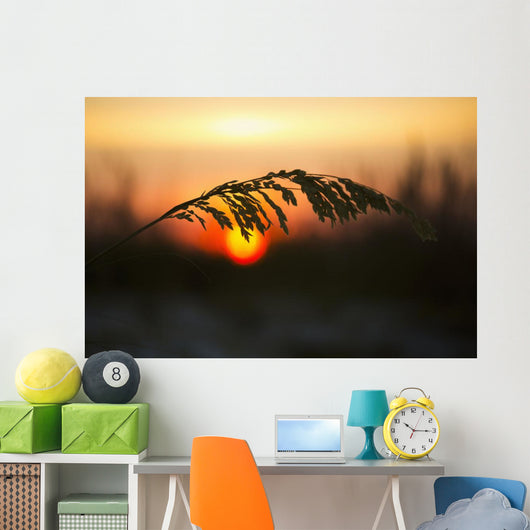 Sea Oats Sunset Siesta Wall Decal