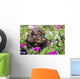 Standard Dachshund Puppy Summer Wall Decal