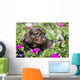 Standard Dachshund Puppy Summer Wall Decal