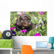 Standard Dachshund Puppy Summer Wall Decal