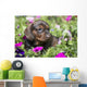 Standard Dachshund Puppy Summer Wall Decal