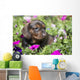 Standard Dachshund Puppy Summer Wall Decal