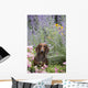 Standard Dachshund Summer Garden Wall Decal