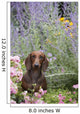 Standard Dachshund Summer Garden Wall Decal