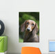Portrait Standard Dachshund Wall Decal