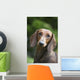 Portrait Standard Dachshund Wall Decal