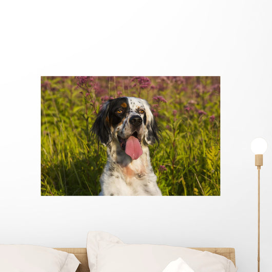 English Setter Late Summer Wall Decal
