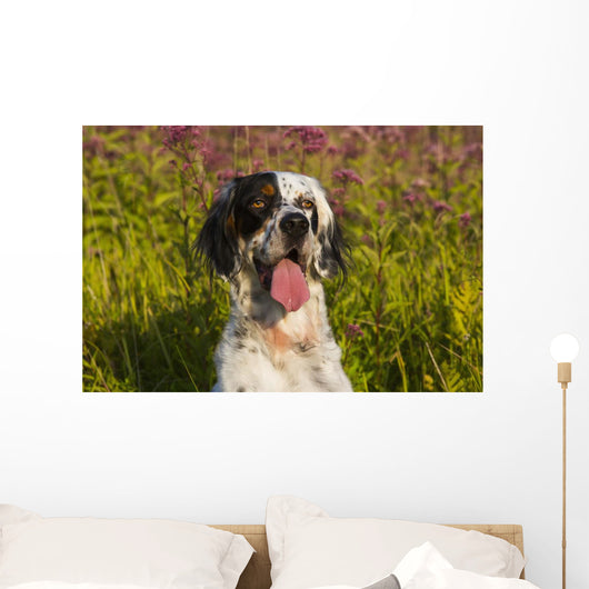 English Setter Late Summer Wall Decal