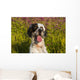 English Setter Late Summer Wall Decal