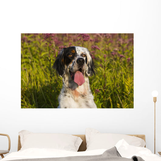 English Setter Late Summer Wall Decal